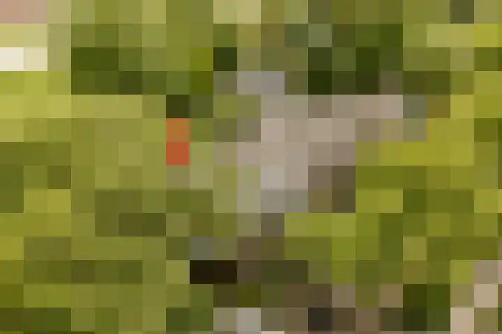 Mondriaanlaan 36 Heerhugowaard thumbnail 45