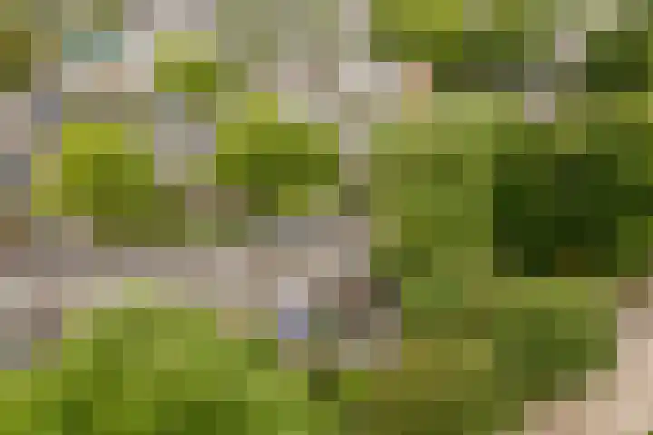 Mondriaanlaan 36 Heerhugowaard thumbnail 47