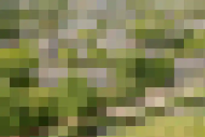 Mondriaanlaan 36 Heerhugowaard thumbnail 48