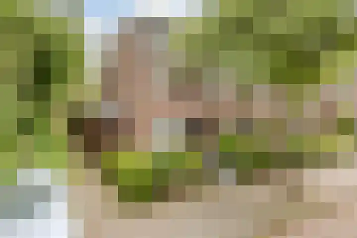 Mondriaanlaan 36 Heerhugowaard thumbnail 49