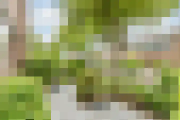 Mondriaanlaan 36 Heerhugowaard thumbnail 50
