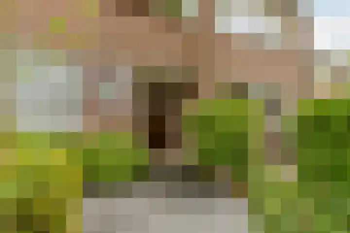 Mondriaanlaan 36 Heerhugowaard thumbnail 51