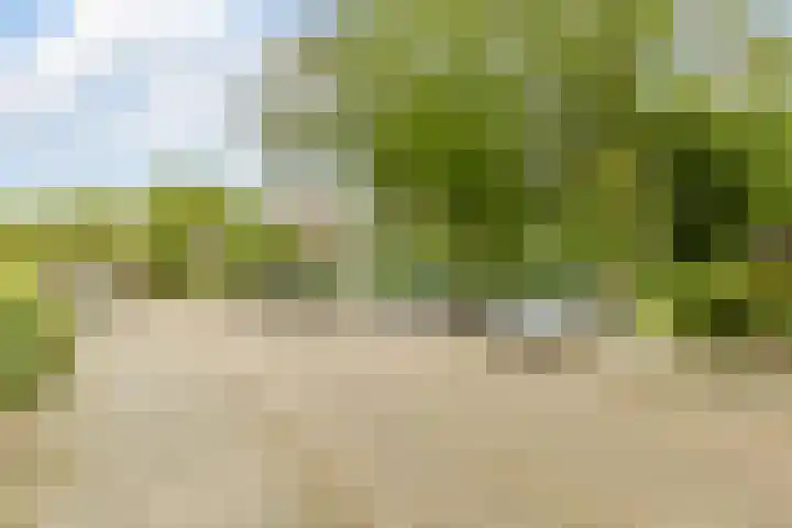 Mondriaanlaan 36 Heerhugowaard thumbnail 54