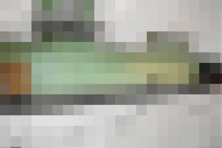 Mondriaanlaan 39 Wageningen thumbnail 12