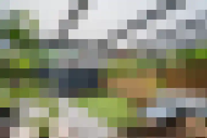 Mondriaanlaan 39 Wageningen thumbnail 13