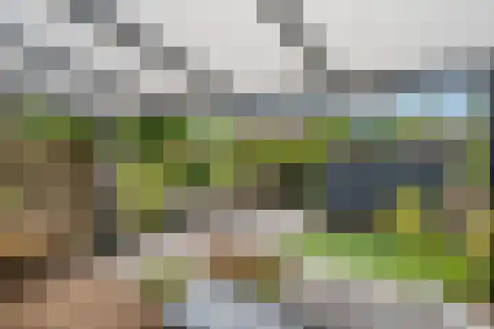 Mondriaanlaan 39 Wageningen thumbnail 15