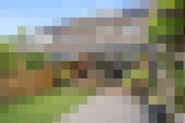 Mondriaanlaan 39 Wageningen thumbnail 18