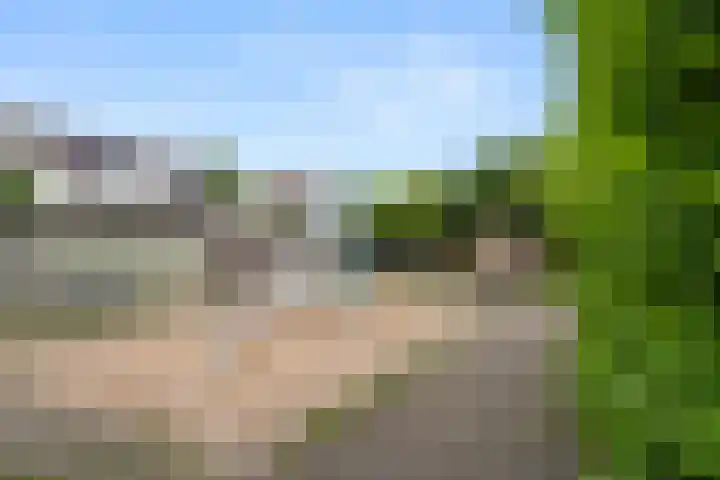 Mondriaanlaan 39 Wageningen thumbnail 35