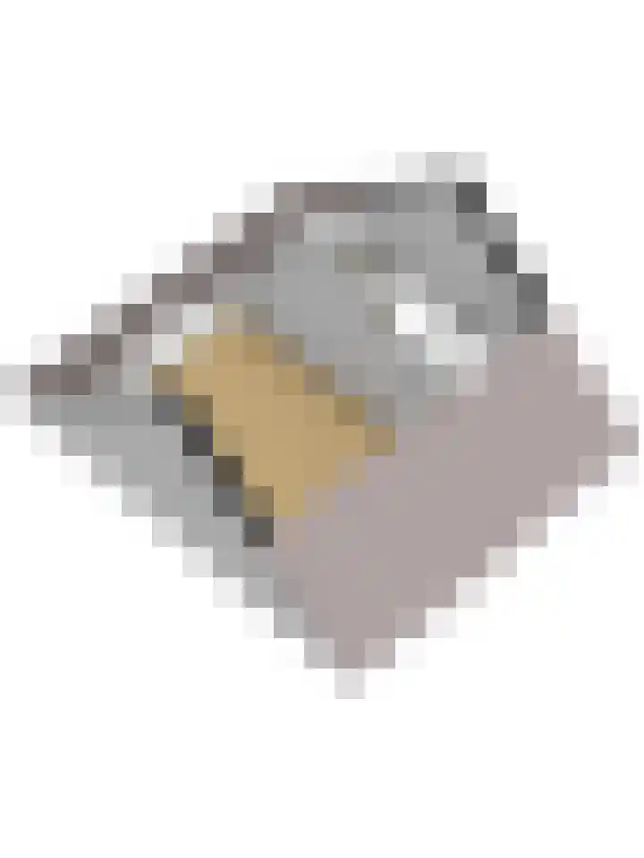 Mondriaanlaan 39 Wageningen thumbnail 45