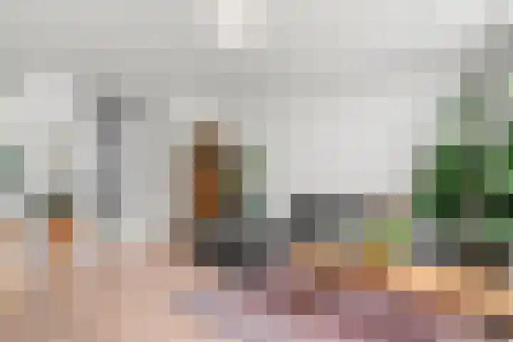 Mondriaanlaan 39 Wageningen thumbnail 7