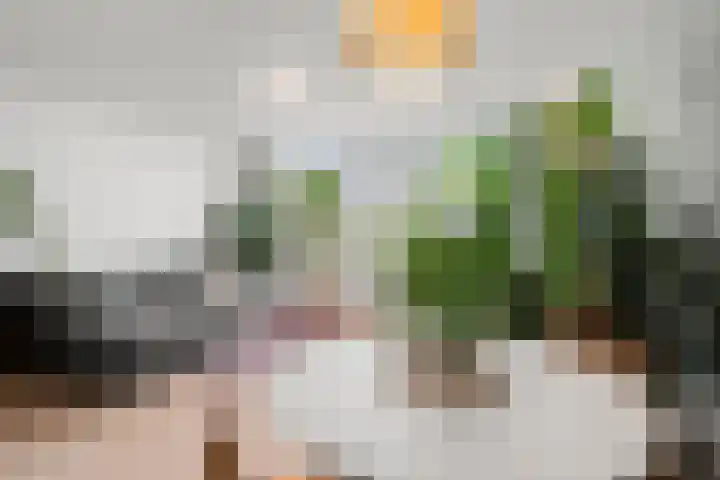 Mondriaanlaan 39 Wageningen thumbnail 8