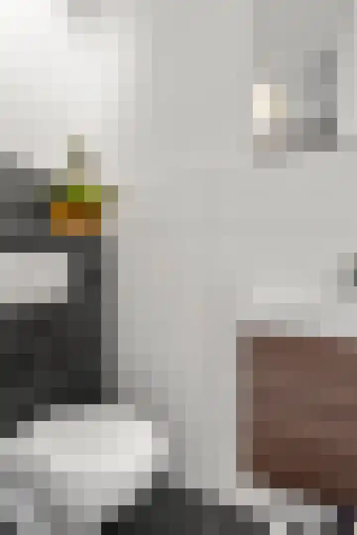 Mondriaanlaan 39 Wageningen thumbnail 9