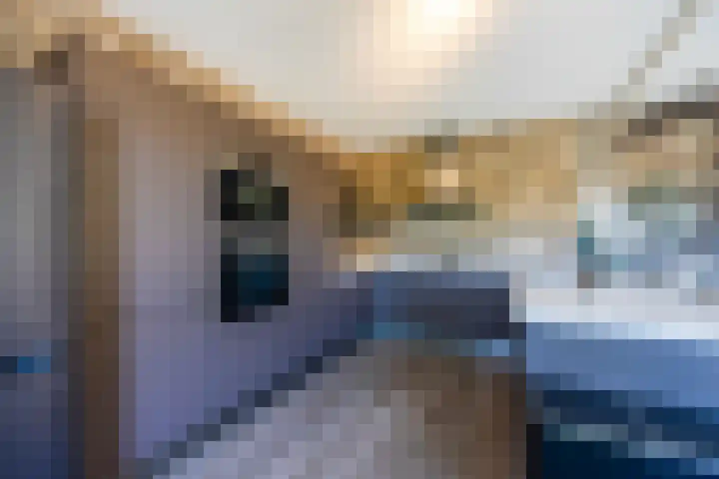 Mondriaanlaan 40 Blaricum thumbnail 13