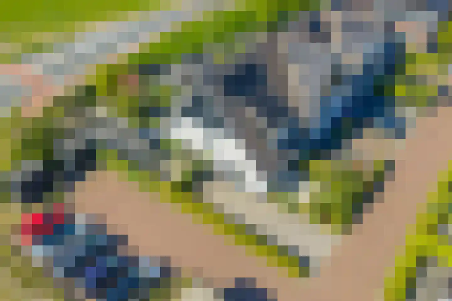 Mondriaanlaan 40 Blaricum thumbnail 41