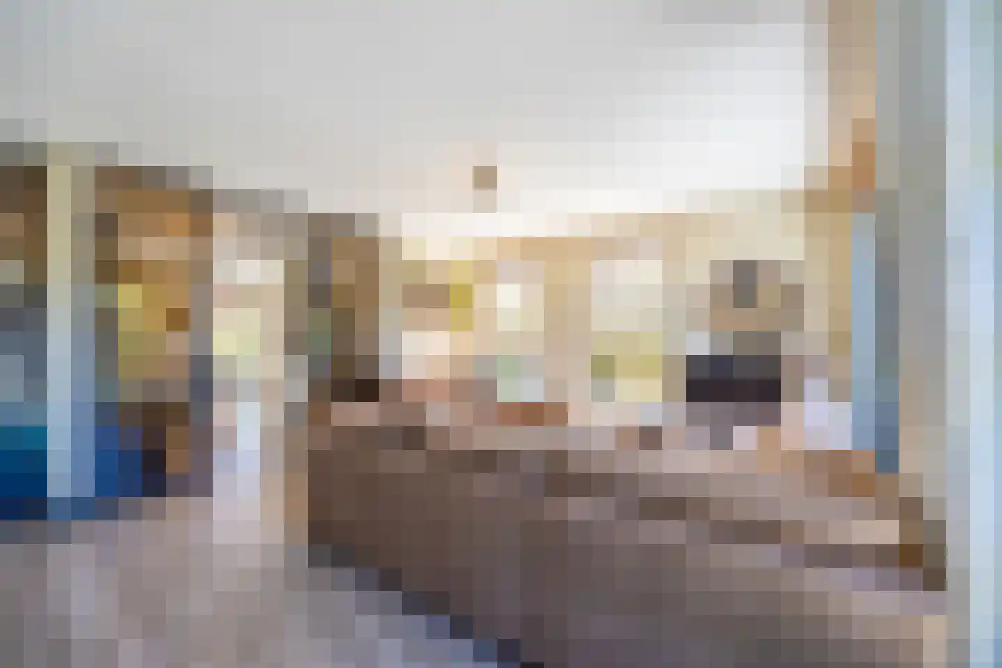 Mondriaanlaan 40 Blaricum thumbnail 8