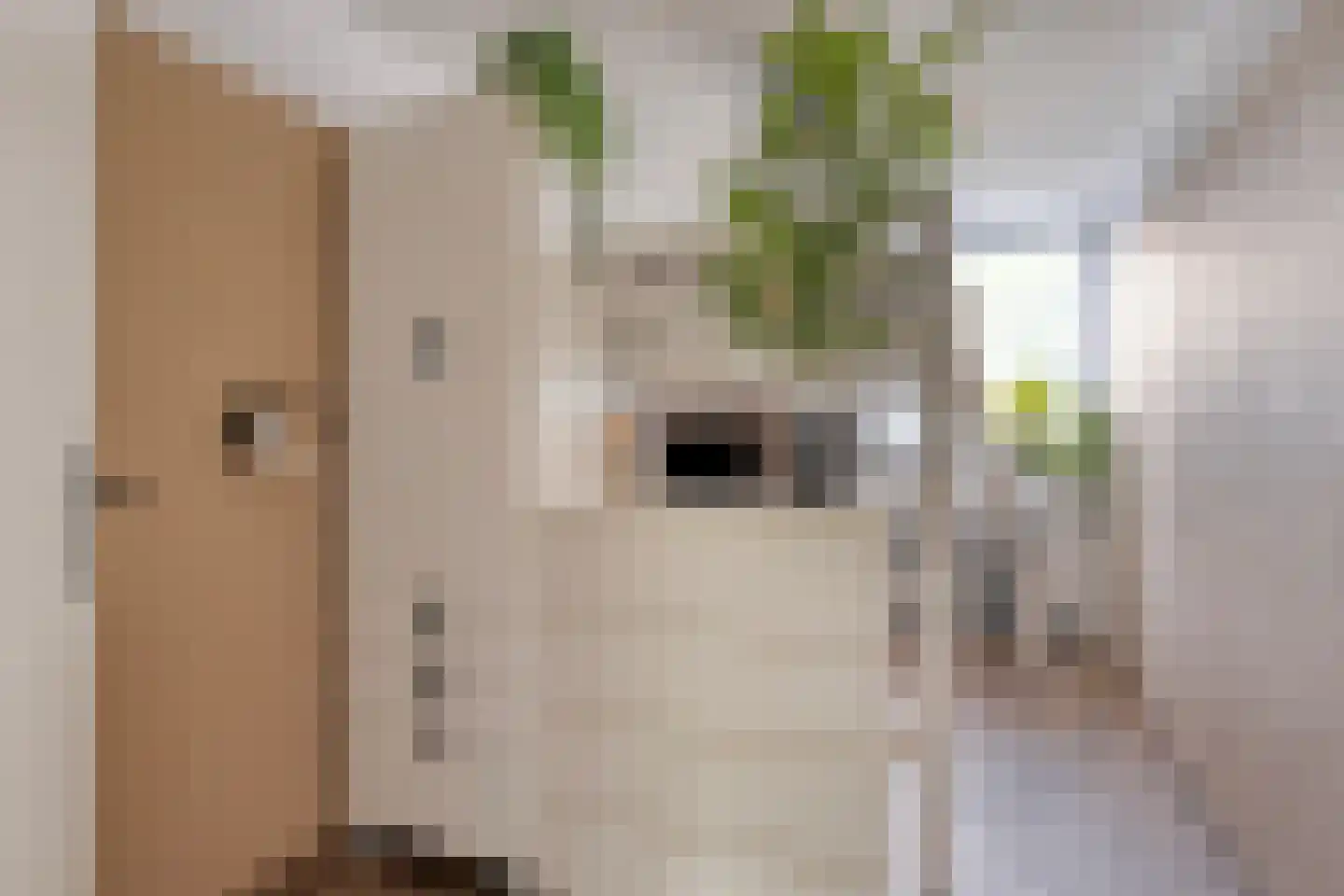 Mondriaanlaan 49 Heerhugowaard thumbnail 25