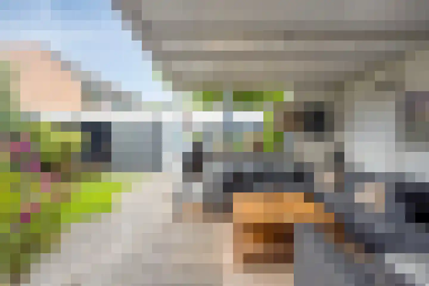 Mondriaanlaan 49 Heerhugowaard thumbnail 38