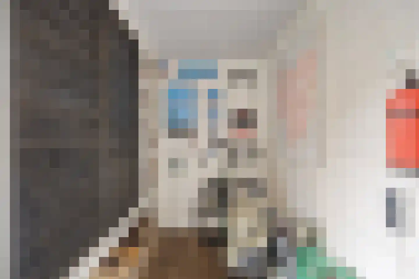 Mondriaanlaan 49 Heerhugowaard thumbnail 41