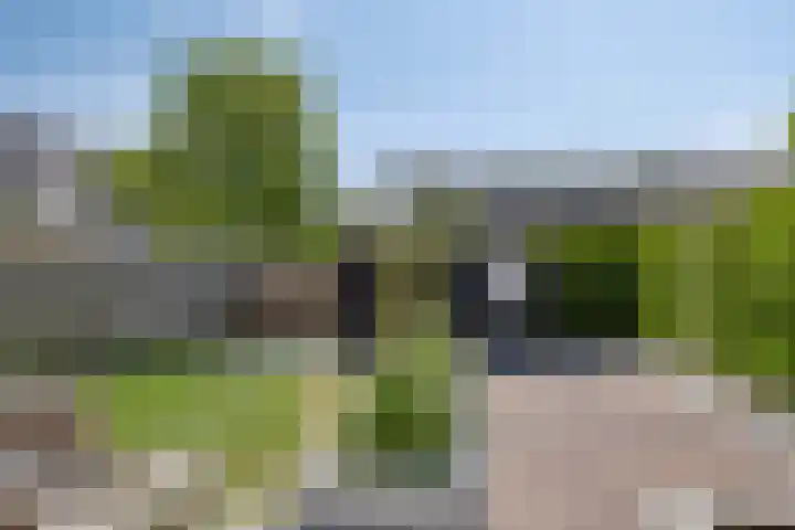 Mondriaanlaan 55 Wageningen thumbnail 31