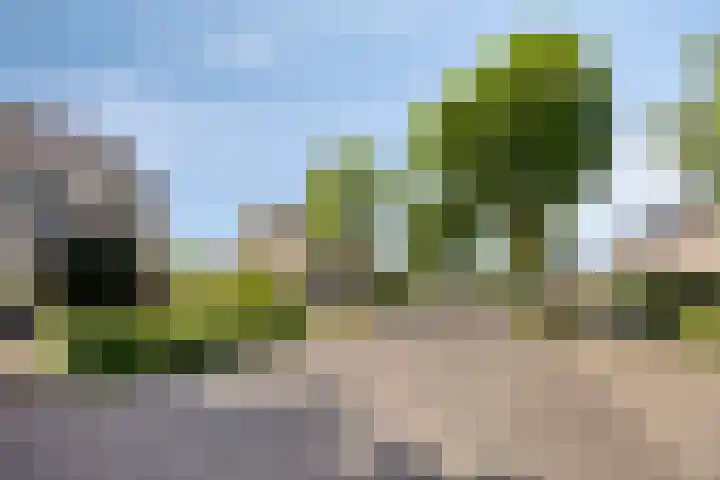 Mondriaanlaan 55 Wageningen thumbnail 32