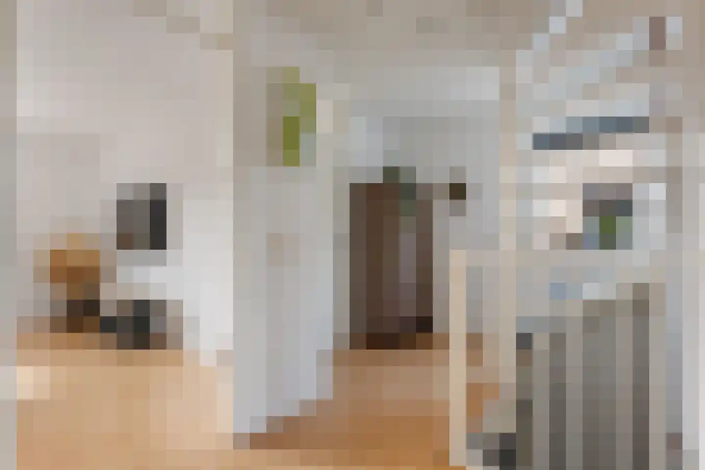 Mondriaanlaan 6 Veendam thumbnail 19