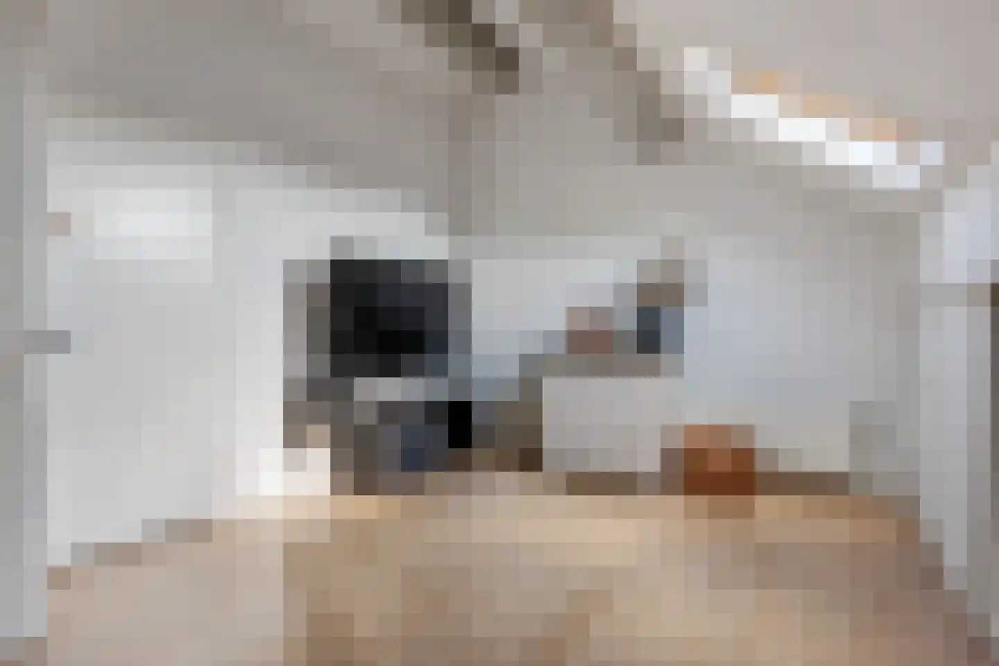 Mondriaanlaan 6 Veendam thumbnail 32
