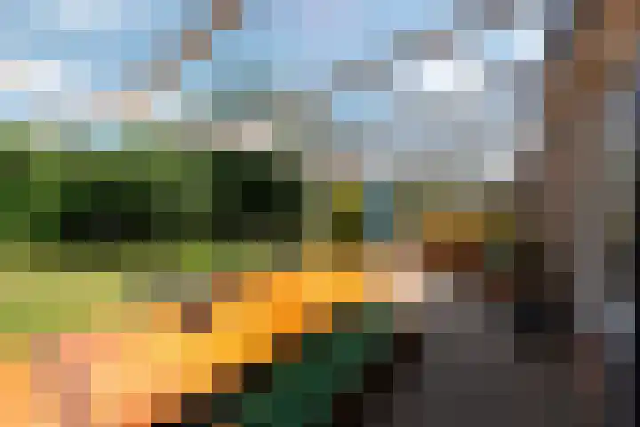 Mondriaanlaan 78 Wageningen thumbnail 30