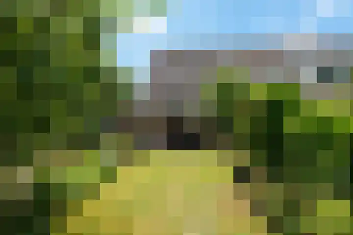 Mondriaanlaan 78 Wageningen thumbnail 31