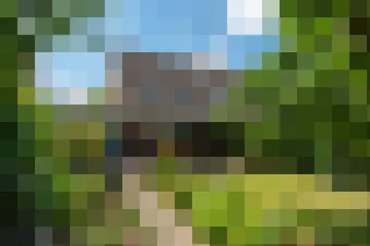 Mondriaanlaan 78 Wageningen thumbnail 32