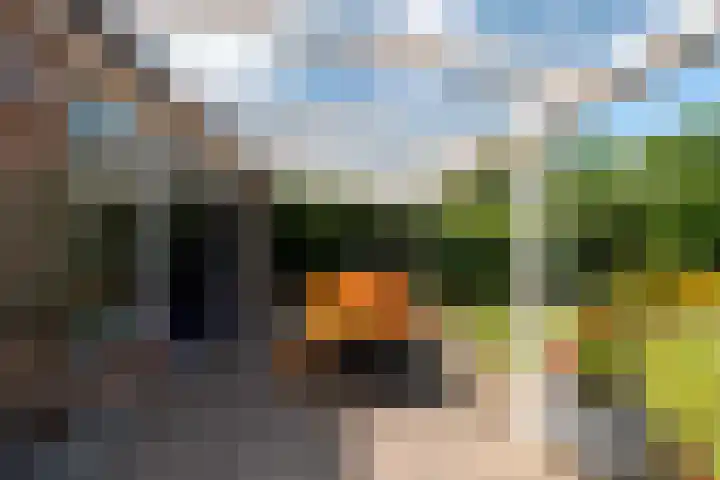 Mondriaanlaan 78 Wageningen thumbnail 33