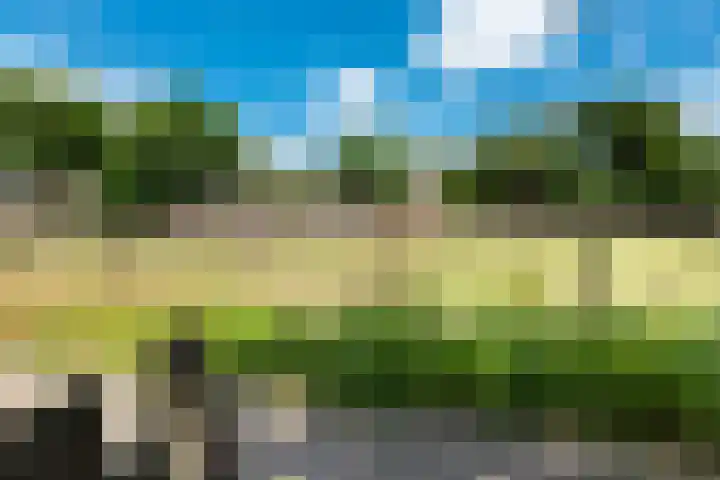 Mondriaanlaan 78 Wageningen thumbnail 34