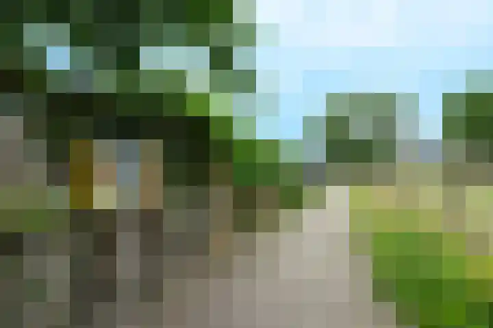 Mondriaanlaan 78 Wageningen thumbnail 35