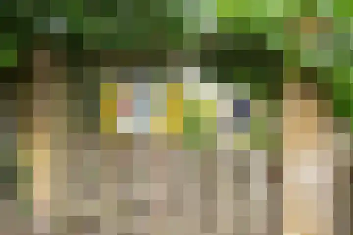 Mondriaanlaan 78 Wageningen thumbnail 36