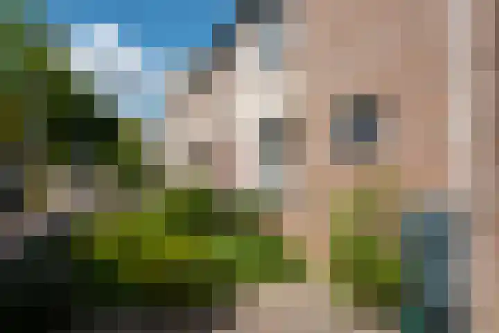 Mondriaanlaan 78 Wageningen thumbnail 39