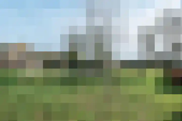 Mondriaanlaan 94 Wageningen thumbnail 30