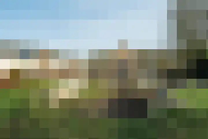 Mondriaanlaan 94 Wageningen thumbnail 31