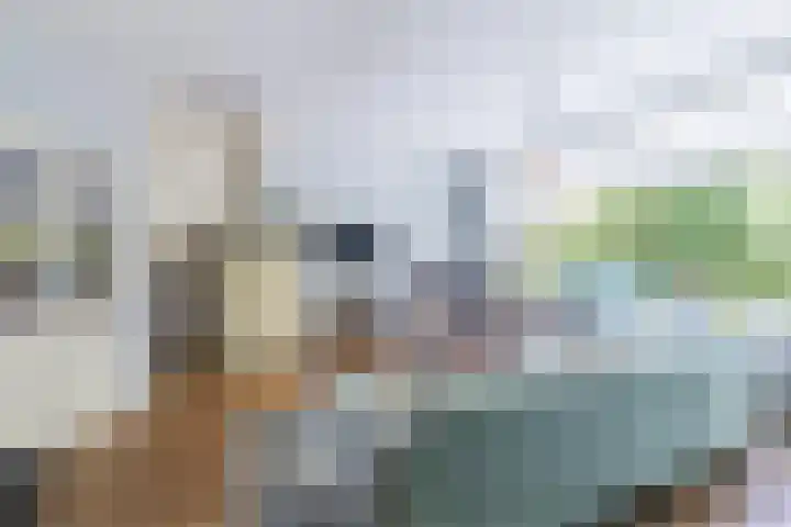 Mondriaanplantsoen 1 Hazerswoude-Dorp thumbnail 10