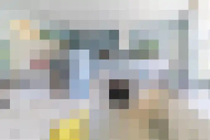 Mondriaanplantsoen 1 Hazerswoude-Dorp thumbnail 17