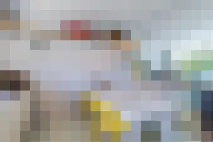 Mondriaanplantsoen 1 Hazerswoude-Dorp thumbnail 20