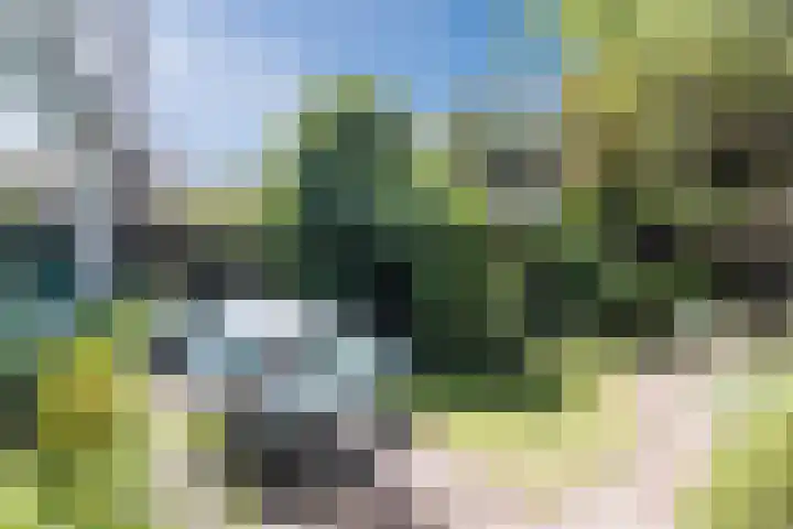Mondriaanplantsoen 1 Hazerswoude-Dorp thumbnail 39