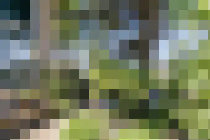 Mondriaanplantsoen 1 Hazerswoude-Dorp thumbnail 4