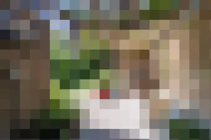 Mondriaanplantsoen 1 Hazerswoude-Dorp thumbnail 41