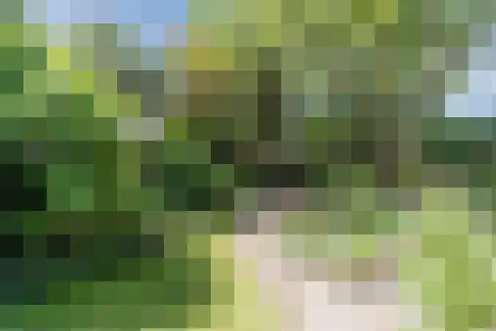 Mondriaanplantsoen 1 Hazerswoude-Dorp thumbnail 42