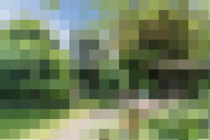 Mondriaanplantsoen 1 Hazerswoude-Dorp thumbnail 43