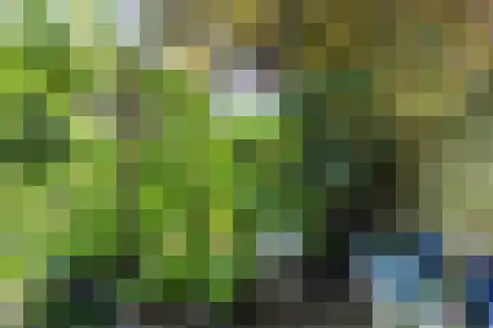 Mondriaanplantsoen 1 Hazerswoude-Dorp thumbnail 44