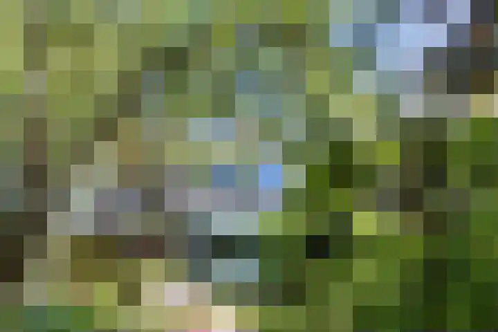 Mondriaanplantsoen 1 Hazerswoude-Dorp thumbnail 45