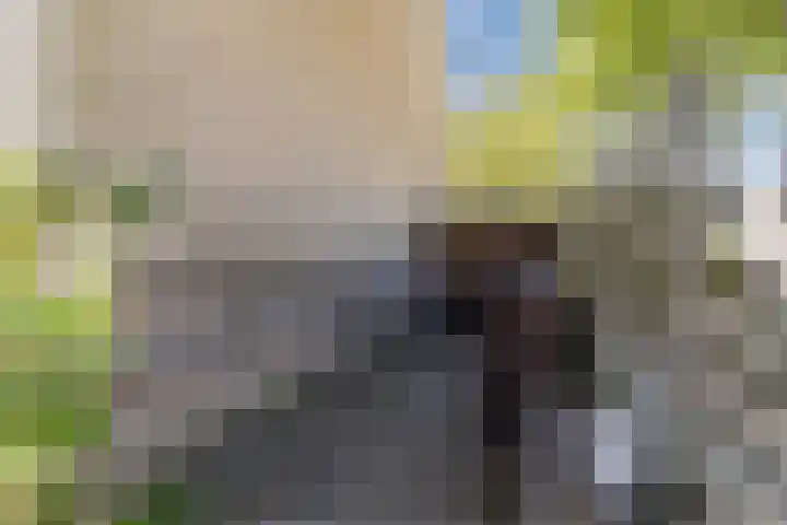 Mondriaanplantsoen 1 Hazerswoude-Dorp thumbnail 46