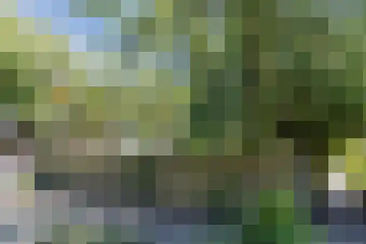 Mondriaanplantsoen 1 Hazerswoude-Dorp thumbnail 47