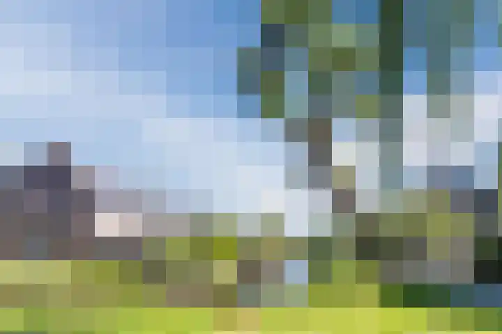 Mondriaanplantsoen 1 Hazerswoude-Dorp thumbnail 49