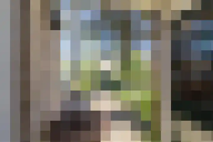 Mondriaanplantsoen 1 Hazerswoude-Dorp thumbnail 5